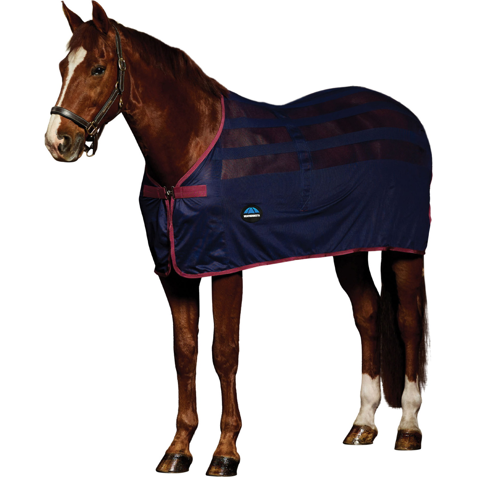 2025 WeatherBeeta Scrim Kühler Standard Nacken 1001896 - Navy